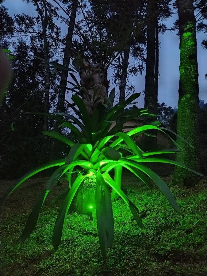 Chales Descanso Na Serra Monte Verde  Bagian luar foto