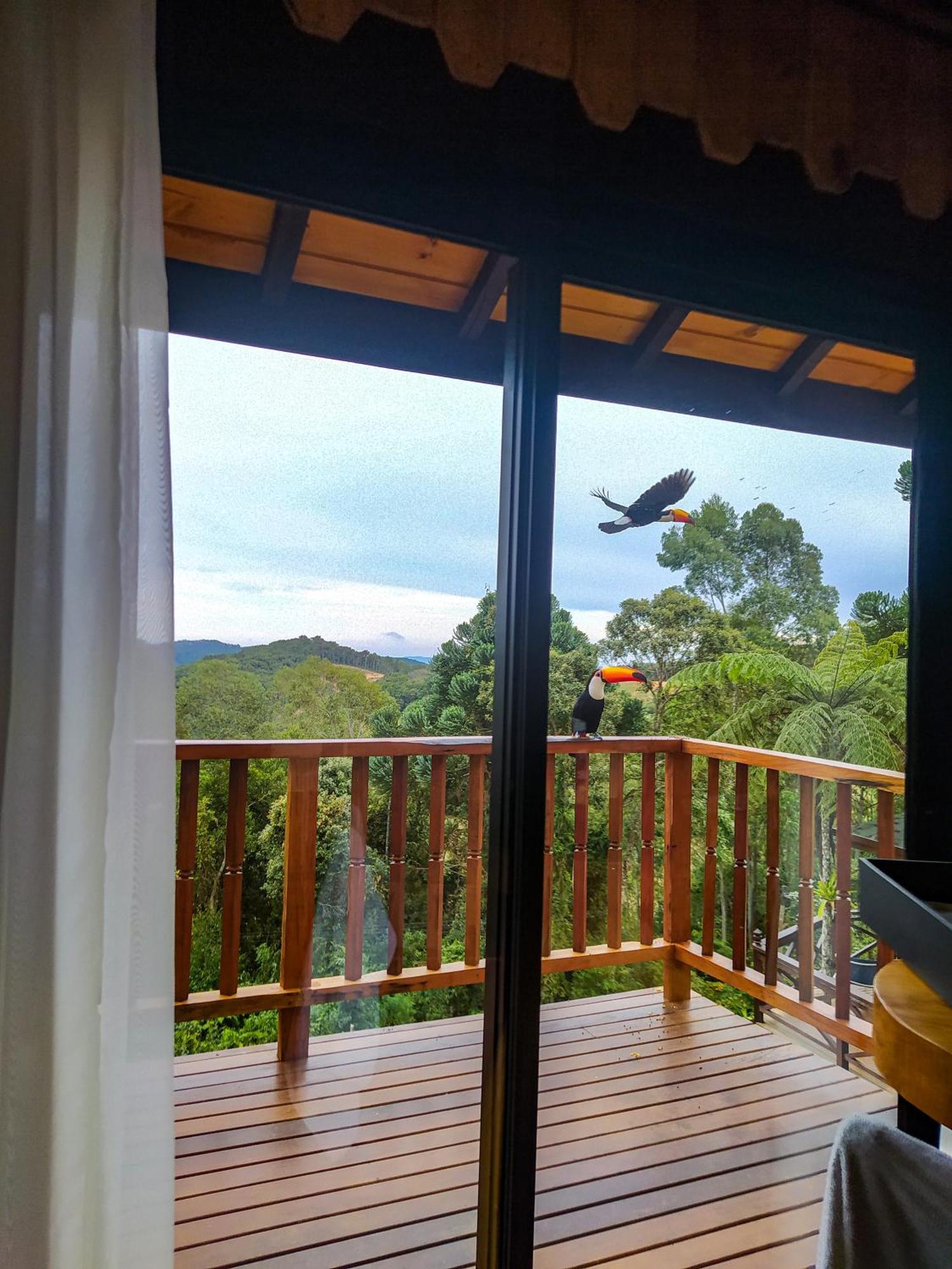 Chales Descanso Na Serra Monte Verde  Ruang foto